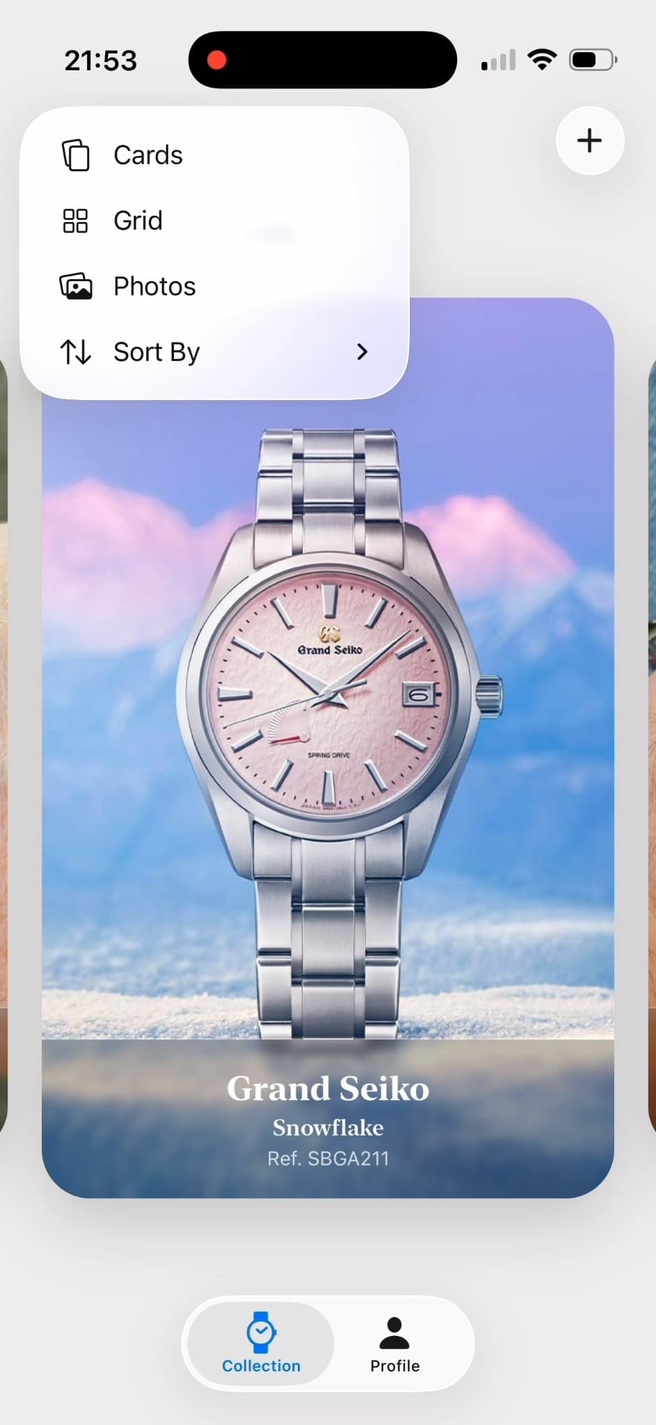 Collection View - Grid of watches